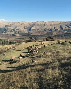 The Sacred Valley