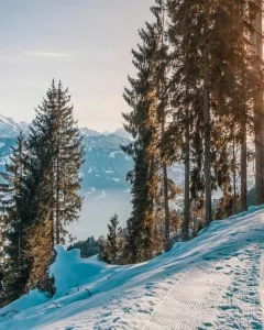 Madonna di Campiglio