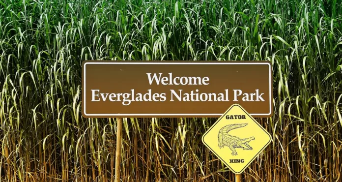 Scudo Everglades America Attenzione