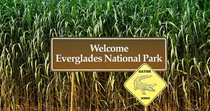 Scudo Everglades America Attenzione