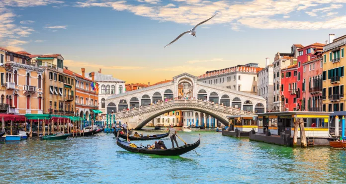 Seagull Flies By Rialto Bridge Popular Landmark Venice Italy