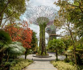 Gardens by the Bay e OCBC Skyway