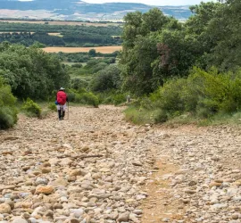 Come fare il Cammino di Santiago: percorso, durata e tappe principali