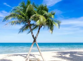 Anguilla, Caraibi: dove si trova, quando andare e cosa vedere