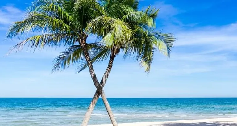 spiaggia caraibi