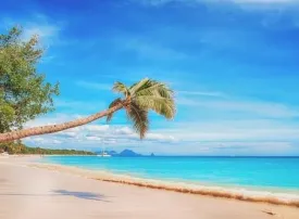 Barbuda, Caraibi: dove si trova, quando andare e cosa vedere