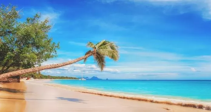 spiaggia caraibi mare palme