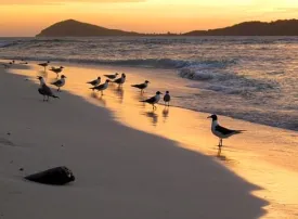 São Tomé e Príncipe: dove si trovano, quando andare e cosa vedere