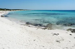 Punta Prosciutto, Puglia: come arrivare, info utili e immagini