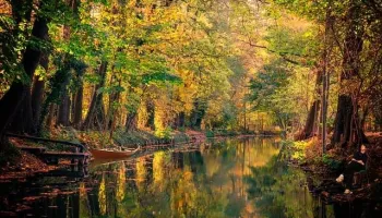 Lubbenau e la regione dello Spreewald