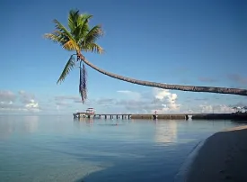 Isola Sulawesi: dove si trova, quando andare e cosa vedere