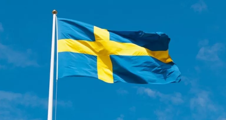 Svezia Bandiera Bandiera Svedese