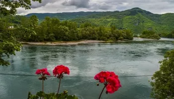 Tara National Park e Drina River Valley