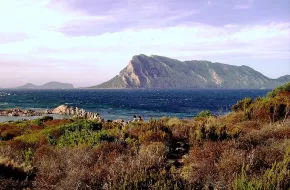 10 Motivi per andare a San Teodoro in Sardegna