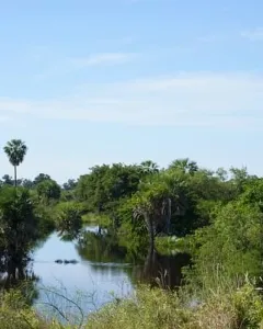 Eco Riserva Mbatovì