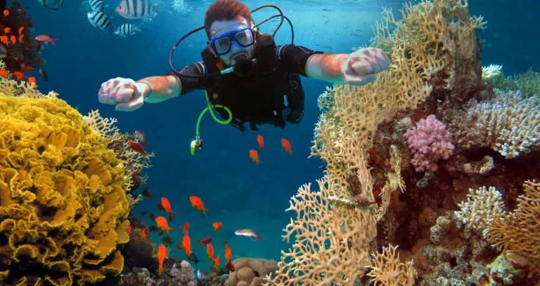 The happy man dives among corals and fishes in the ocean