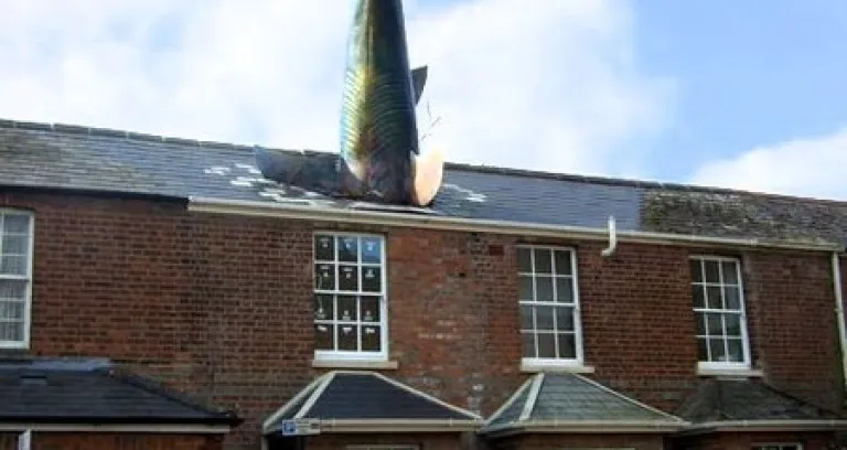 The Headington Shark Geograph Org Uk 1220282