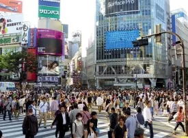 Quando andare a Tokyo: clima, periodo migliore e consigli mese per mese