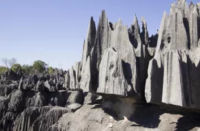 Parco Nazionale Tsingy de Bemaraha, Madagascar: dove si trova, quando andare e cosa vedere