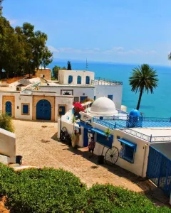 Sidi Bou Said e Cartagine