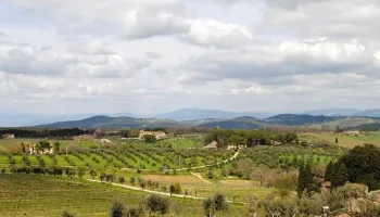 Chianti