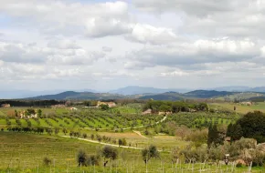 6 itinerari e percorsi enogastronomici in Toscana