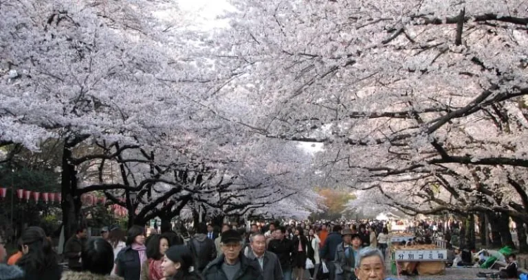 ueno park