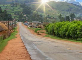 Safari in Uganda: prezzi, quando andare e dove