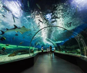 Dubai Aquarium & Underwater Zoo