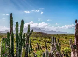 Quando andare e cosa vedere in Venezuela: attrazioni e luoghi da non perdere