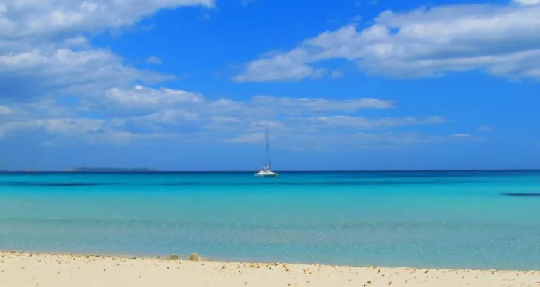 Sardegna Spiaggia Mare Acqua