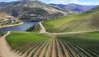 Valle del Douro