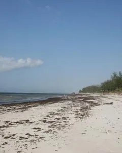 Garoda Beach, Watamu