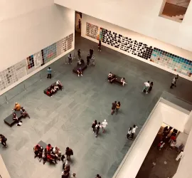 Cosa vedere al Moma di New York: orari, prezzi e consigli
