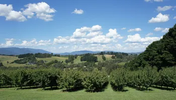 Yarra Valley