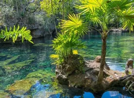 Penisola dello Yucatan, Messico: dove si trova, quando andare e cosa vedere