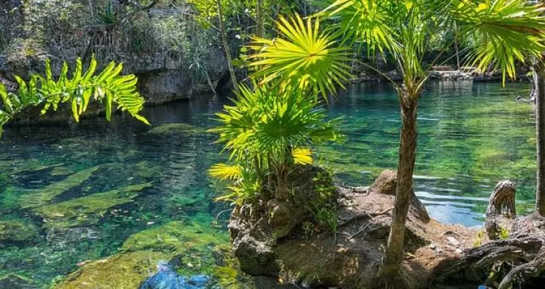 nella natura dello yucatan