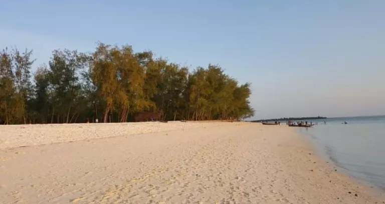 Zanzibar Ngome Beach Viaggio