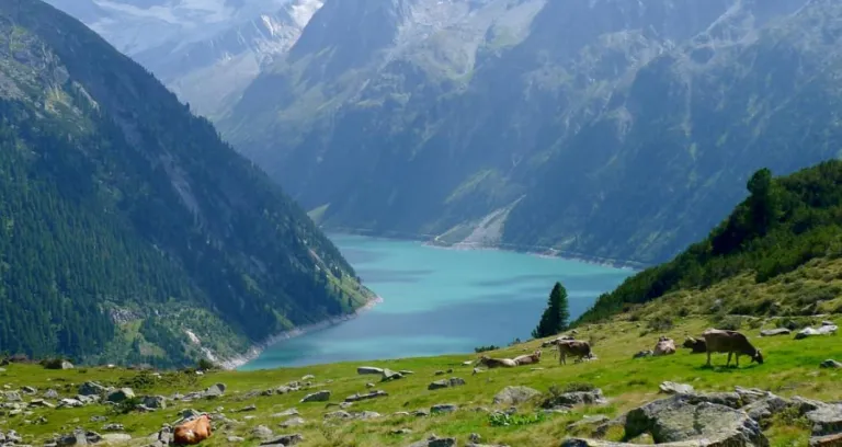 Lago Montagne Serbatoio