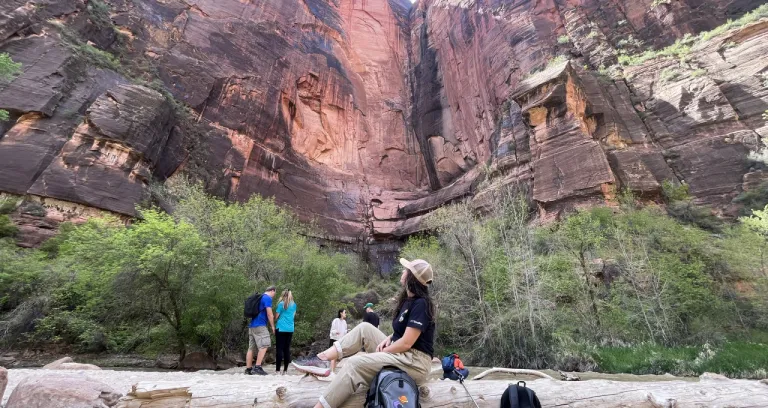 Zion Park 3