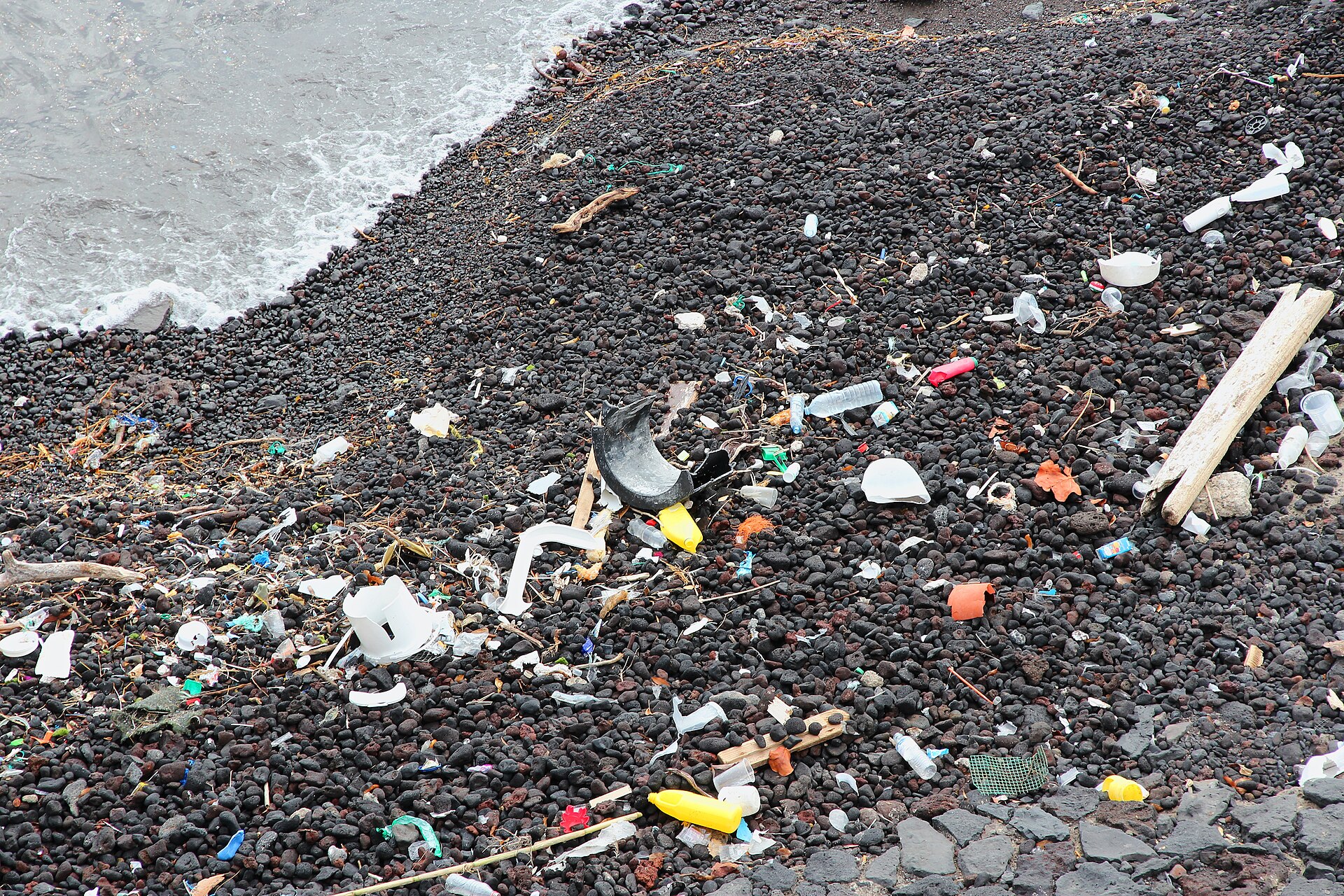 12 north atlantic garbage patch
