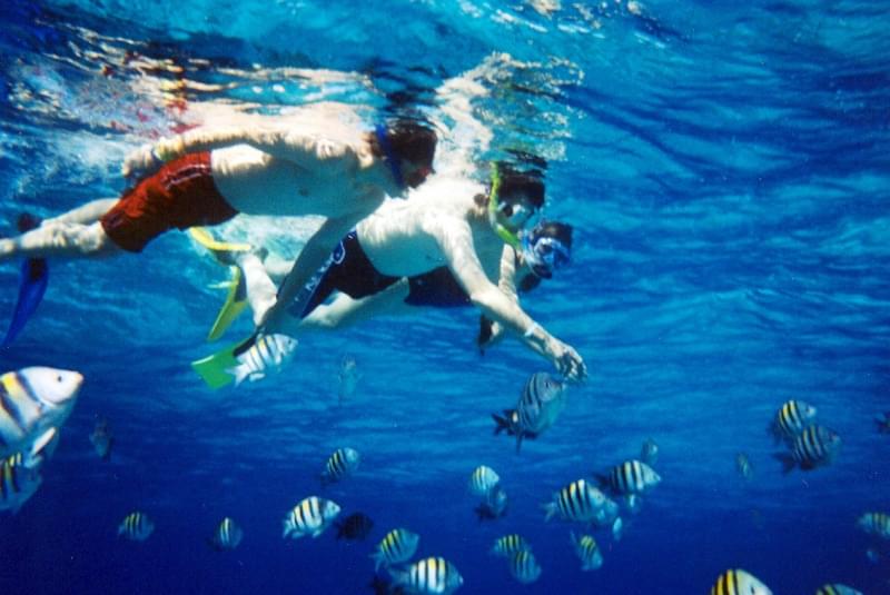 1  Snorkeling