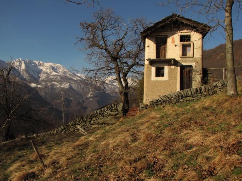 Casa del Violino, Scogna Sottana