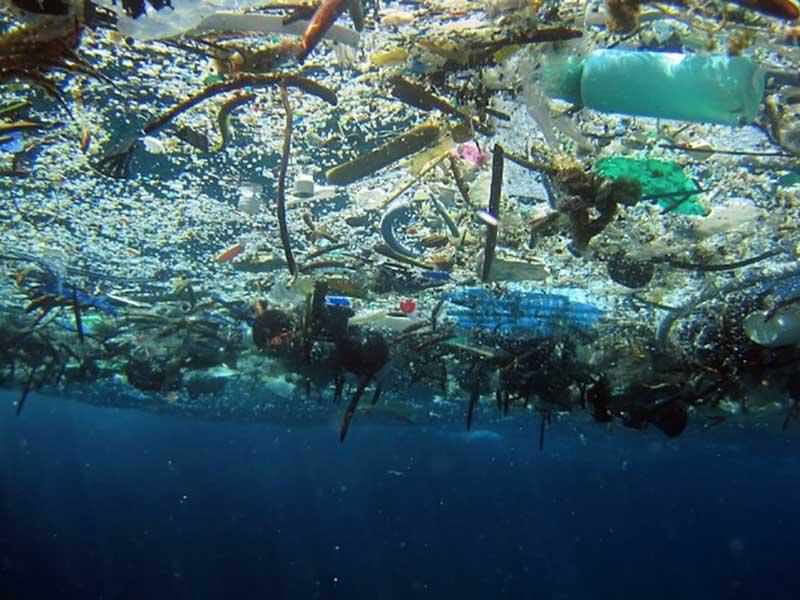 12 north atlantic garbage patch