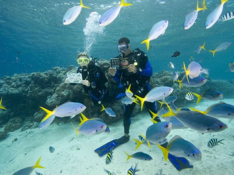 Bay Island, Honduras