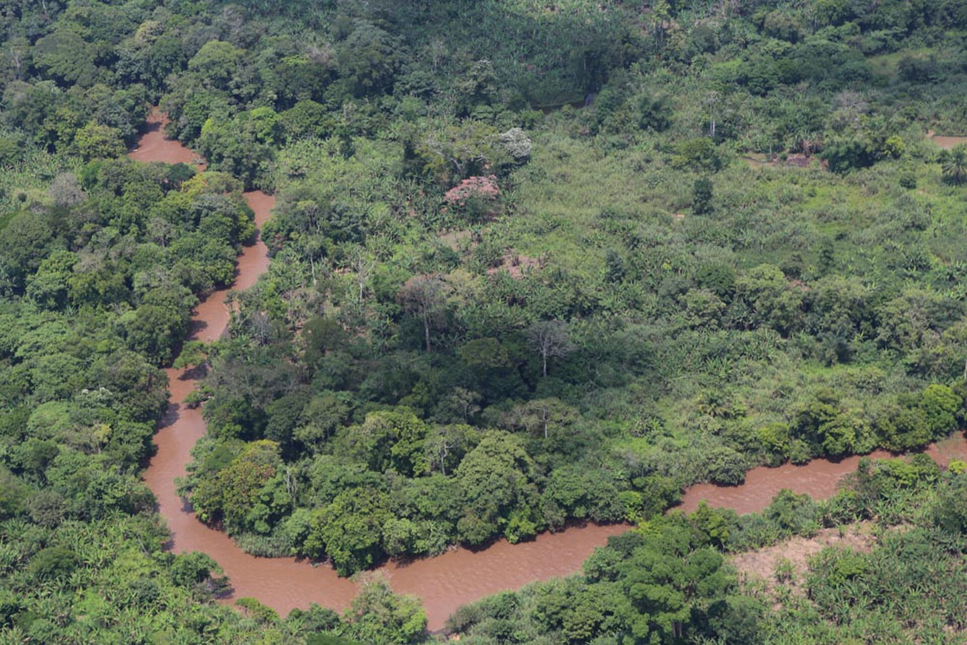 15fevrier2015 nord kivu rdcongo vueaeriennedelaforetetduneriviere 1663