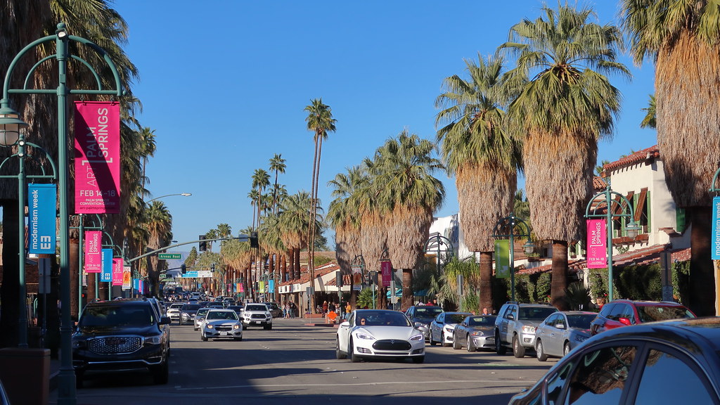 190216 224 palm springs ca south palm canyon drive looking north signature washingtonia filifera california fan palm uniquely trimmed