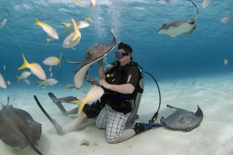 Stingray City, Grand Cayman