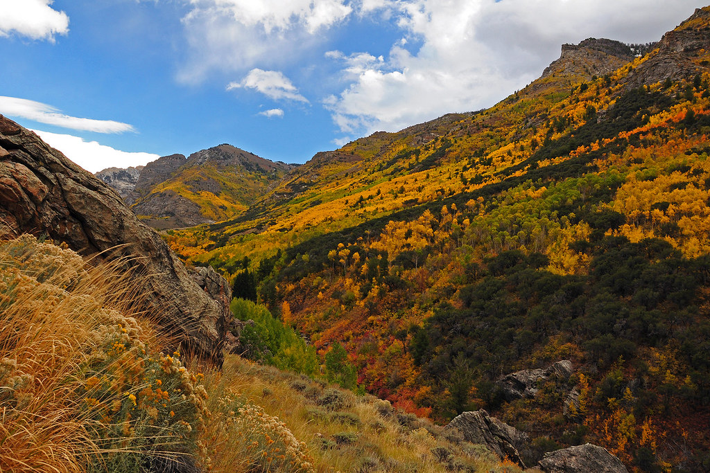 20111018 fs se 0009