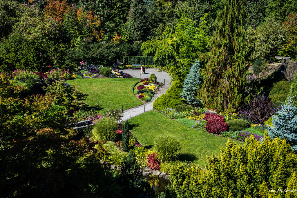 2014 vancouver queen e park rock quarry